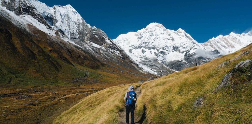 annapurna